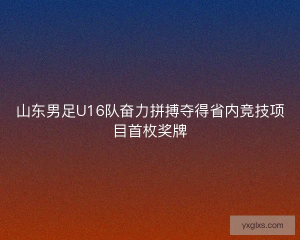 山东男足U16队奋力拼搏夺得省内竞技项目首枚奖牌 山东男足U16队奋力拼搏夺得省内竞技项目首枚奖牌