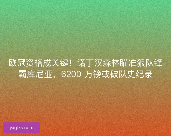欧冠资格成关键！诺丁汉森林瞄准狼队锋霸库尼亚，6200 万镑或破队史纪录